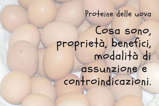 Proteine delle uova